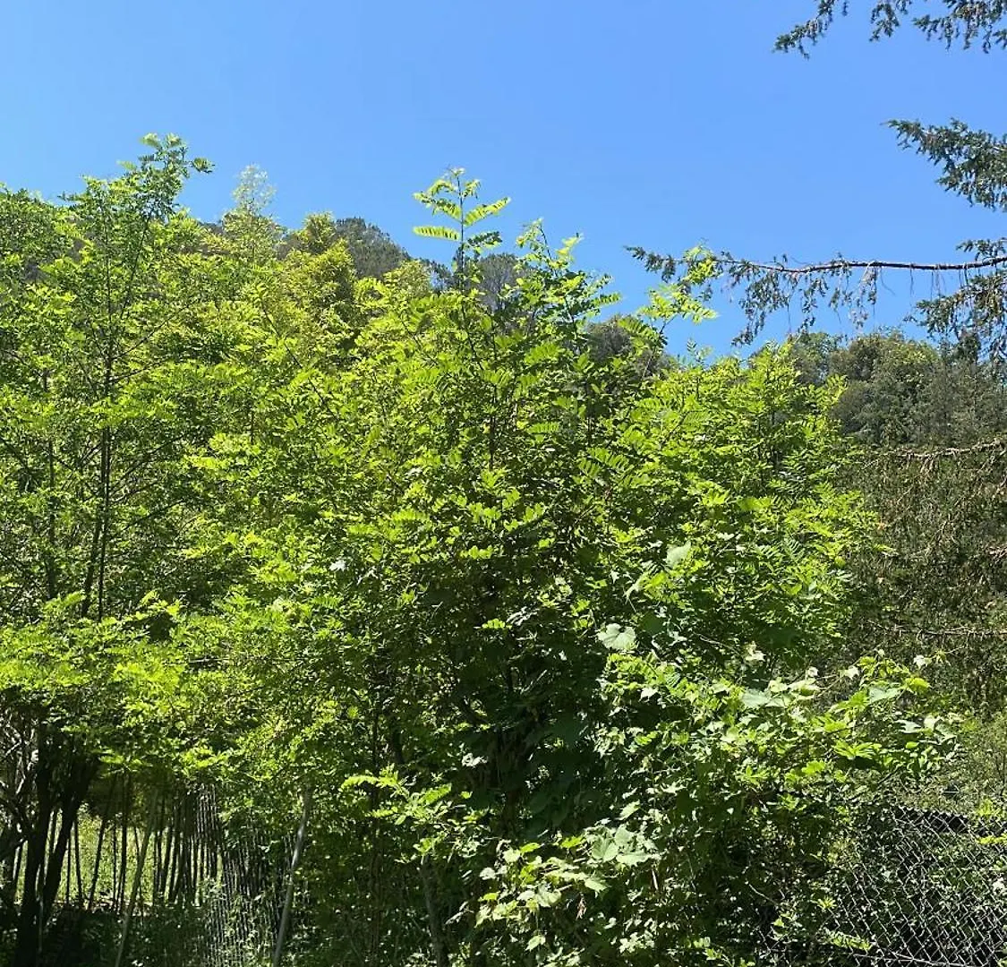 Casa Rural Para Descansar Piscina Cerca Osor